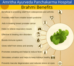 brahmi benefits