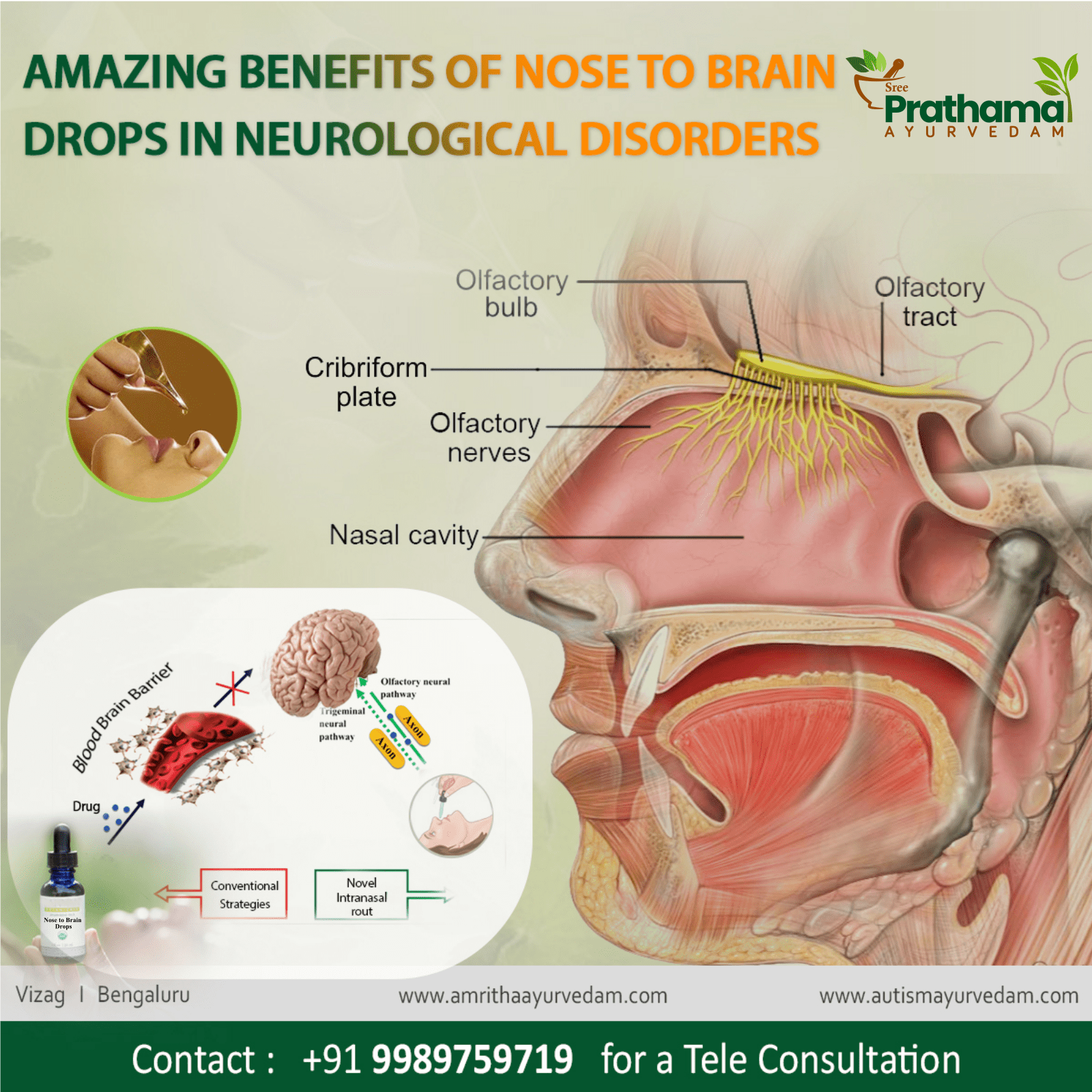 14-12-2020 Nose to Brain Drops