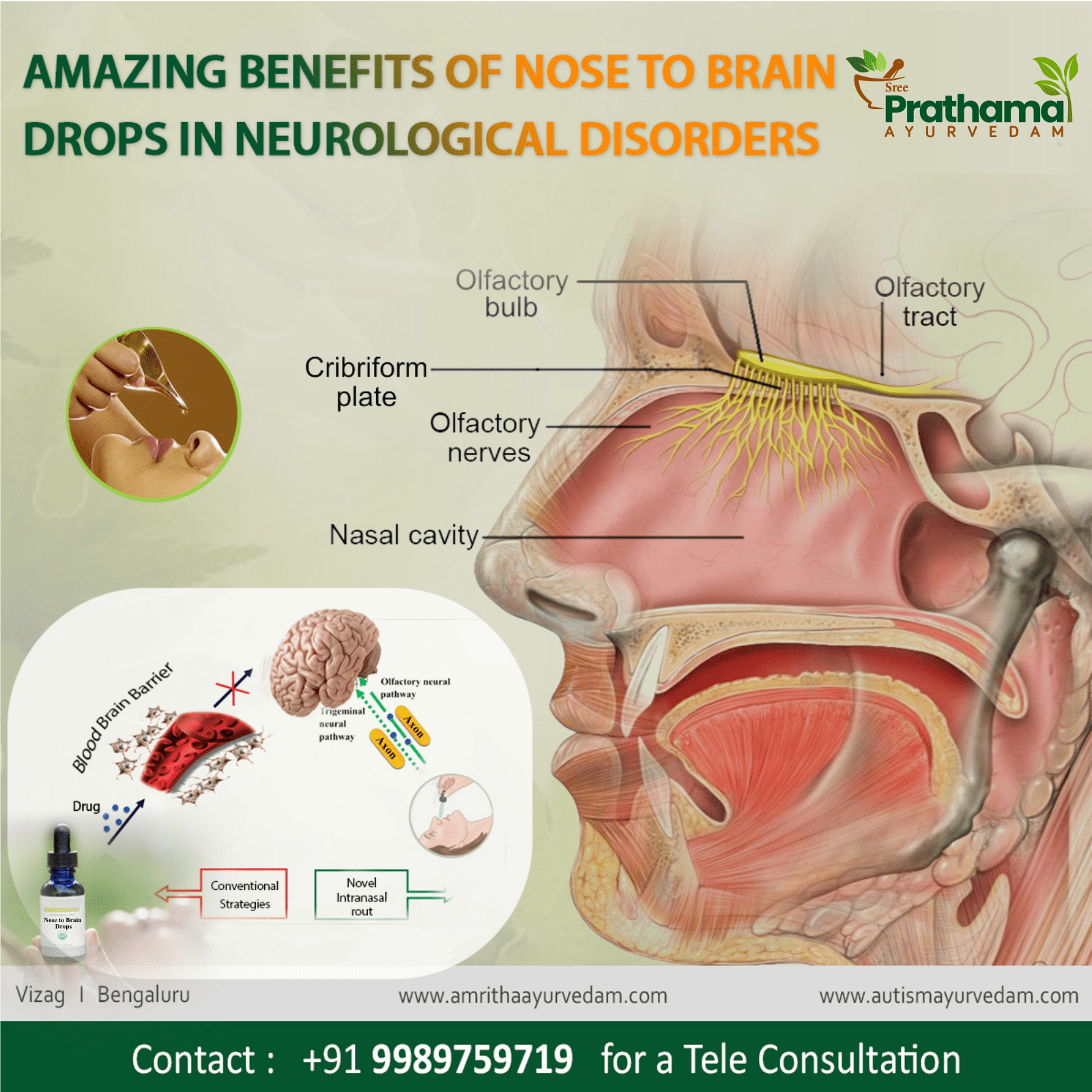 Nose to Brain Drops